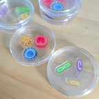 Biology Cell Shaker Coin with Carrying Pouch